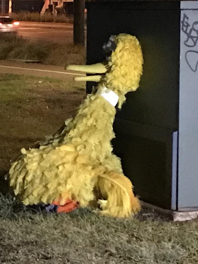 Big Bird was returned to the Circus - a witness saw two people running away from the scene. Picture: Peter Caldicott/7News Adelaide