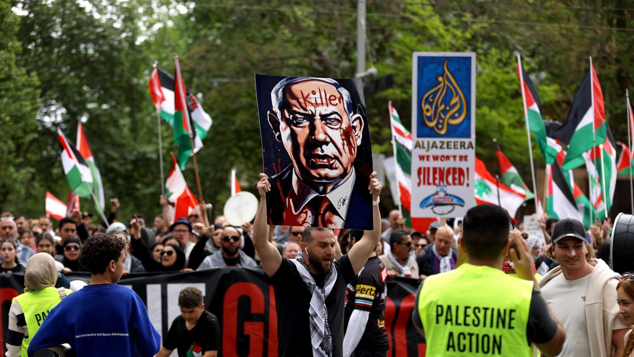 Sydney protests saw thousands of people carrying flags and signs on Sunday. Picture: NewsWire / Damian Shaw