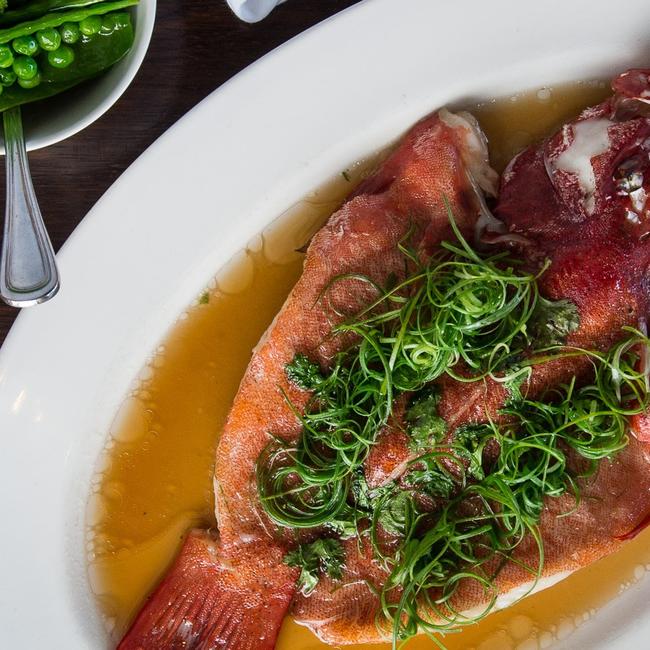 Whole coral trout fish served at The Fish House at Burleigh Heads.