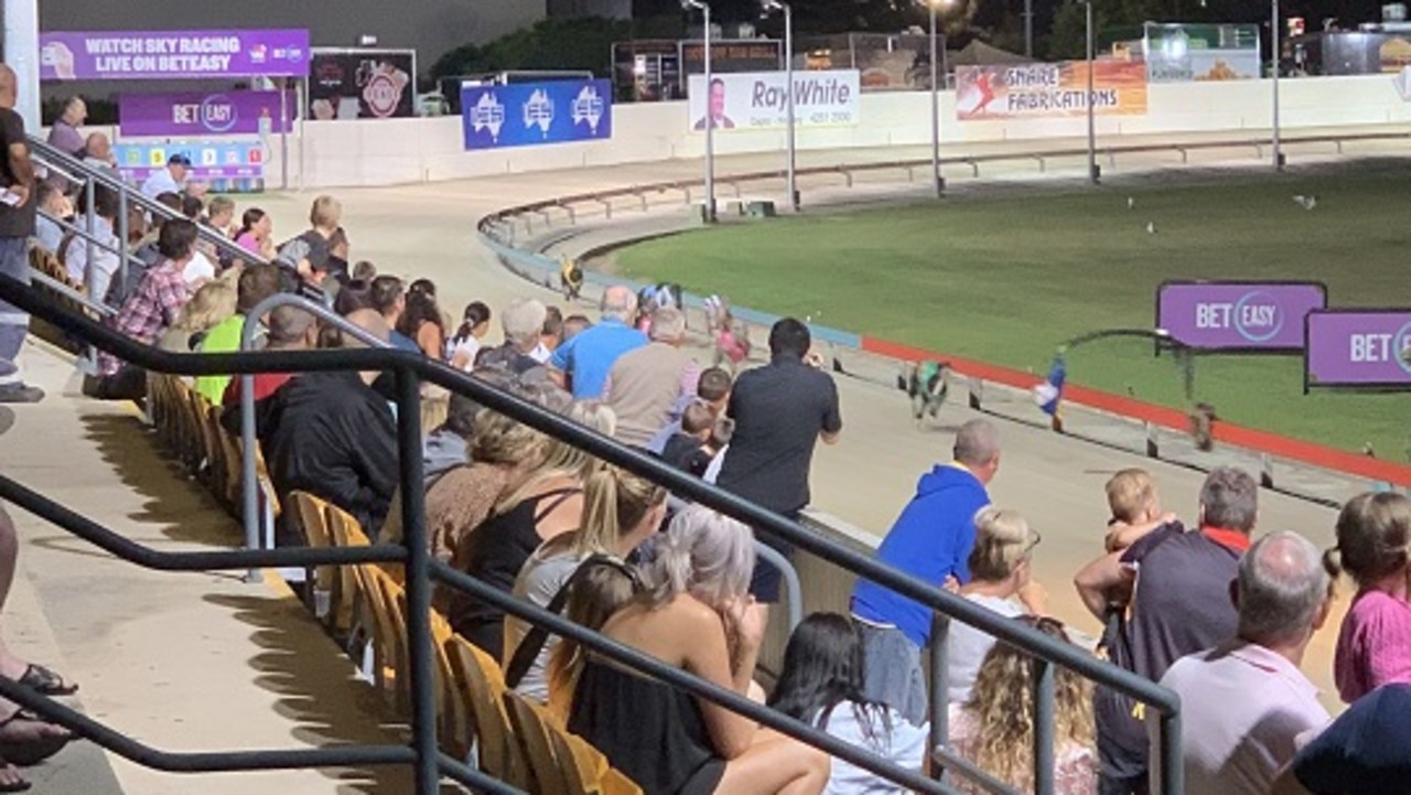 World famous Dapto dogs to be shut down