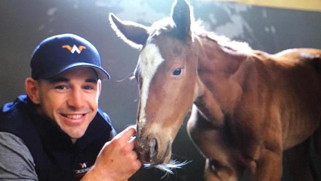 Billy Slater’s stables have already started the breeding program.