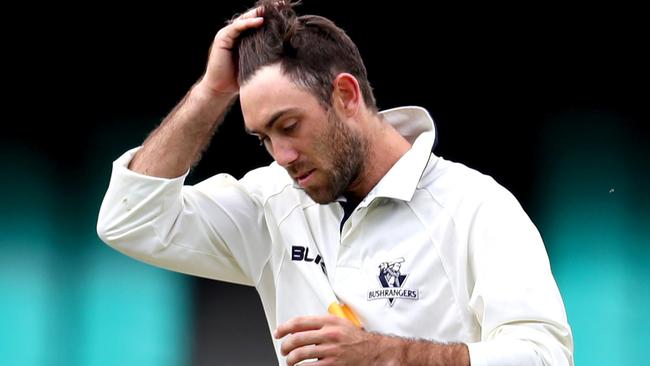 Travis Head could kill Glenn Maxwell’s dream of playing Test cricket again. Picture: Gregg Porteous