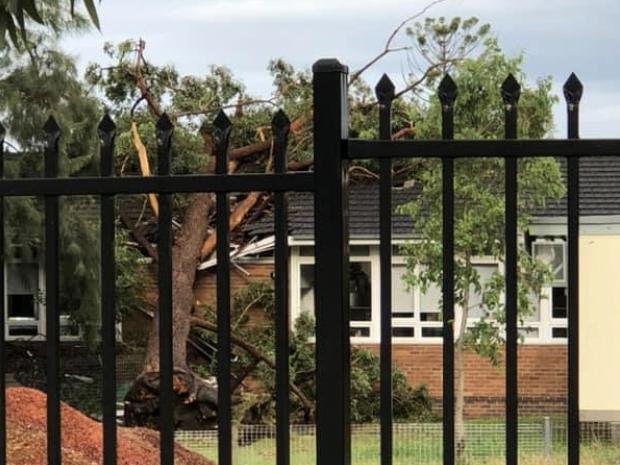 A Sydney storm in January 2020 has wrought havoc on the Shire. A tree has fallen on Sylvania Heights Public School. Picture: Supplied