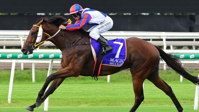 Local gelding Soxagon has been set for the Weetwood. Picture: Trackside Photography
