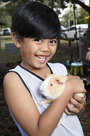 Moorooka Lions Family Fun Day | The Courier Mail