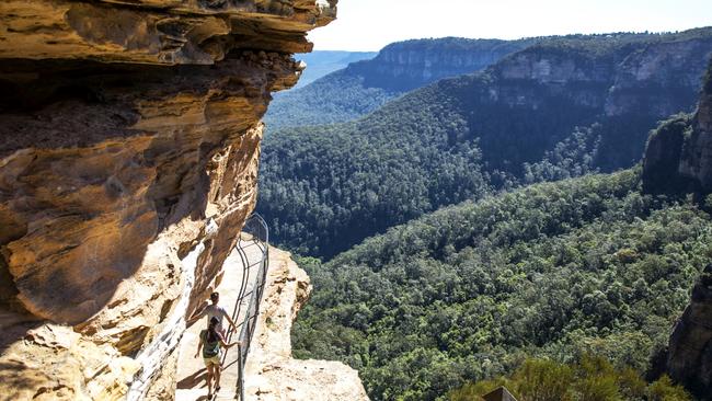 The Blue Mountains National Park.