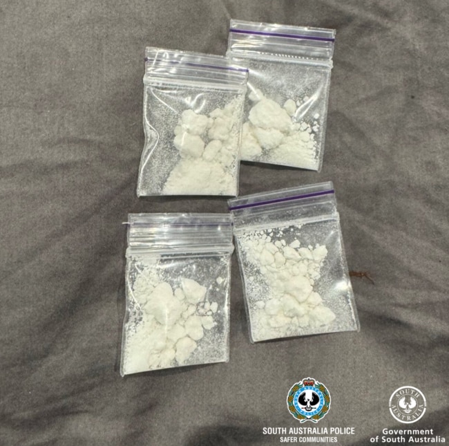 A man was arrested after drugs were found at festival in Adelaide. Picture: SA Police