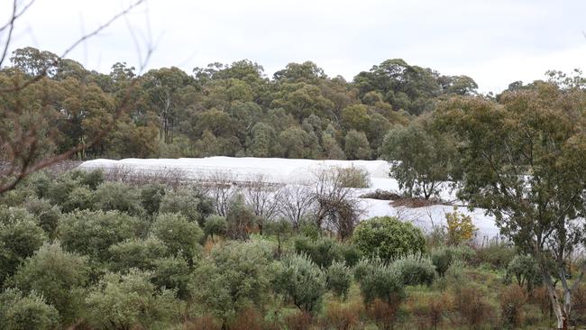 A Broadford property where a major illegal tobacco operation was uncovered. Picture: David Hurley