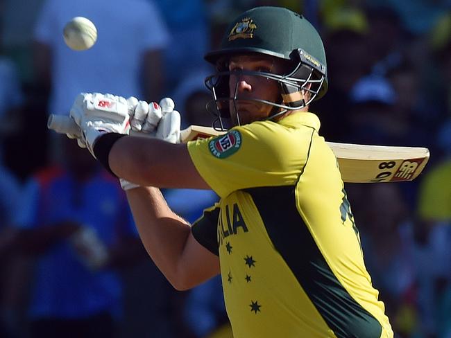 Aaron Finch battled hard against India on Tuesday.