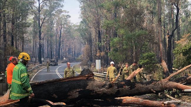 ADF members and civilian authorities clear a felled tree after the army delivered supplies to the Mallacoota CFA.