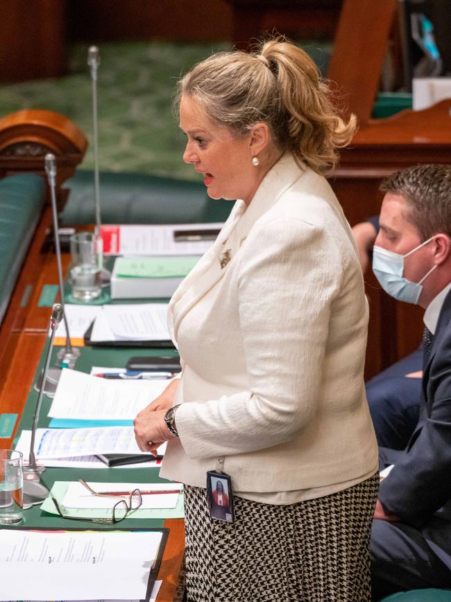Opposition regional health services spokeswoman Penny Pratt. Picture: Naomi Jellicoe