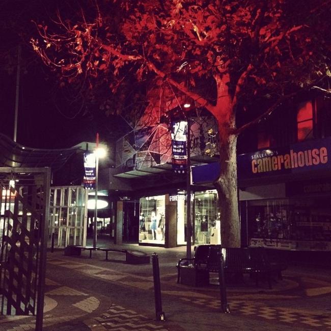 Single tree, Hobart Mall. @memily @hobartandbeyond #paintthetownred2015