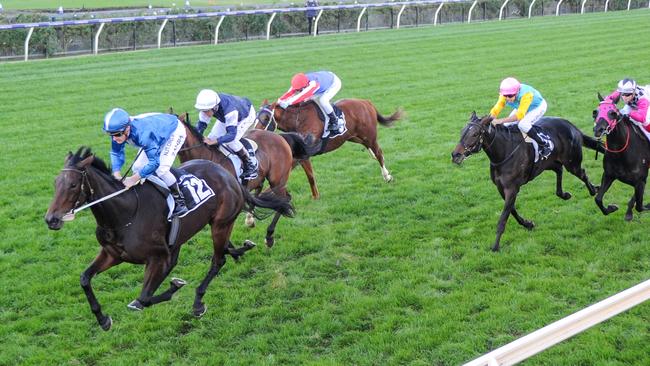 Michael Kent Junior rates Oceanex ‘a chance’ for Melbourne Cup honours.
