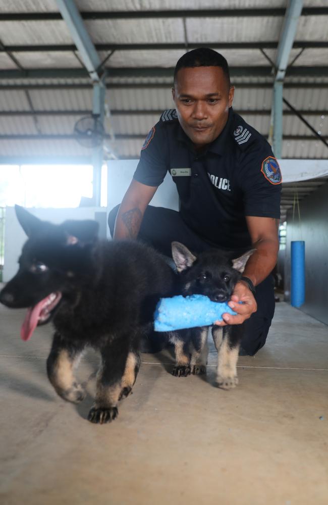 NT Police Dog Operations Unit officer Riva Zio with the squad's newest recruits, Axe and Jax.