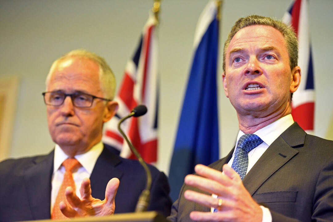 Pyne attacks colleagues over Turnbull's demise