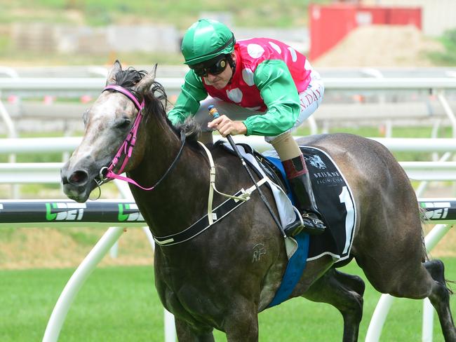 Paradis Imperial, ridden by Nathan Day, winning at Eagle Farm. Picture: Grant Peters, Trackside Photography