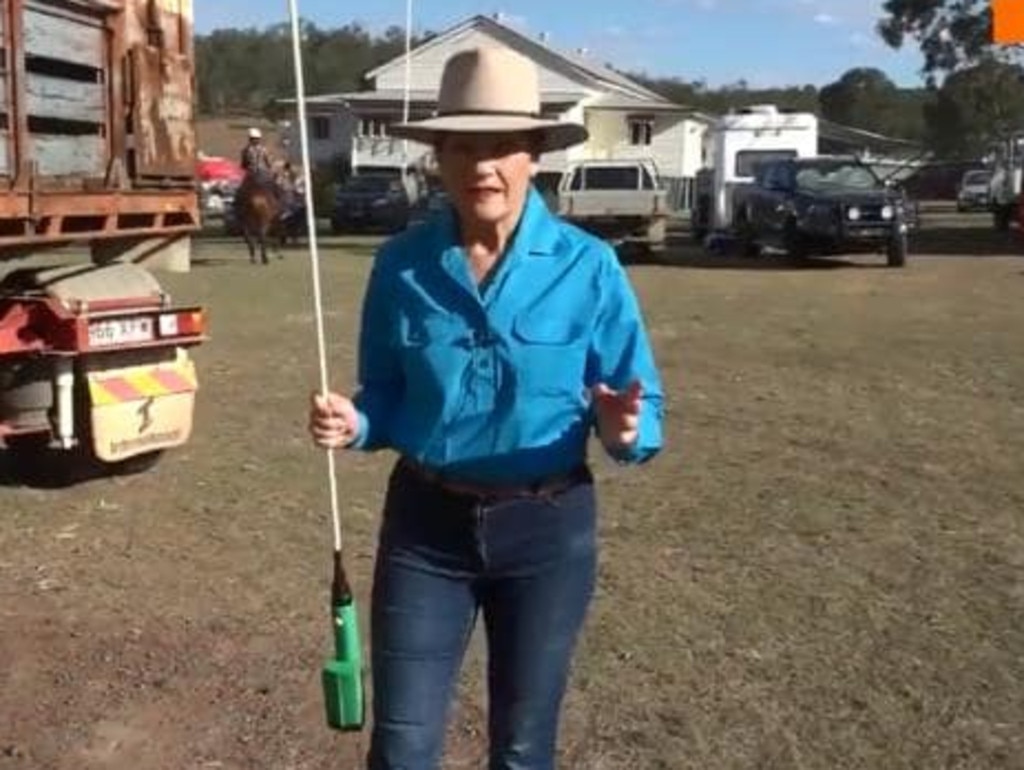 Pauline Hanson wants police to use cattle prods on Australian citizens. Picture: Twitter