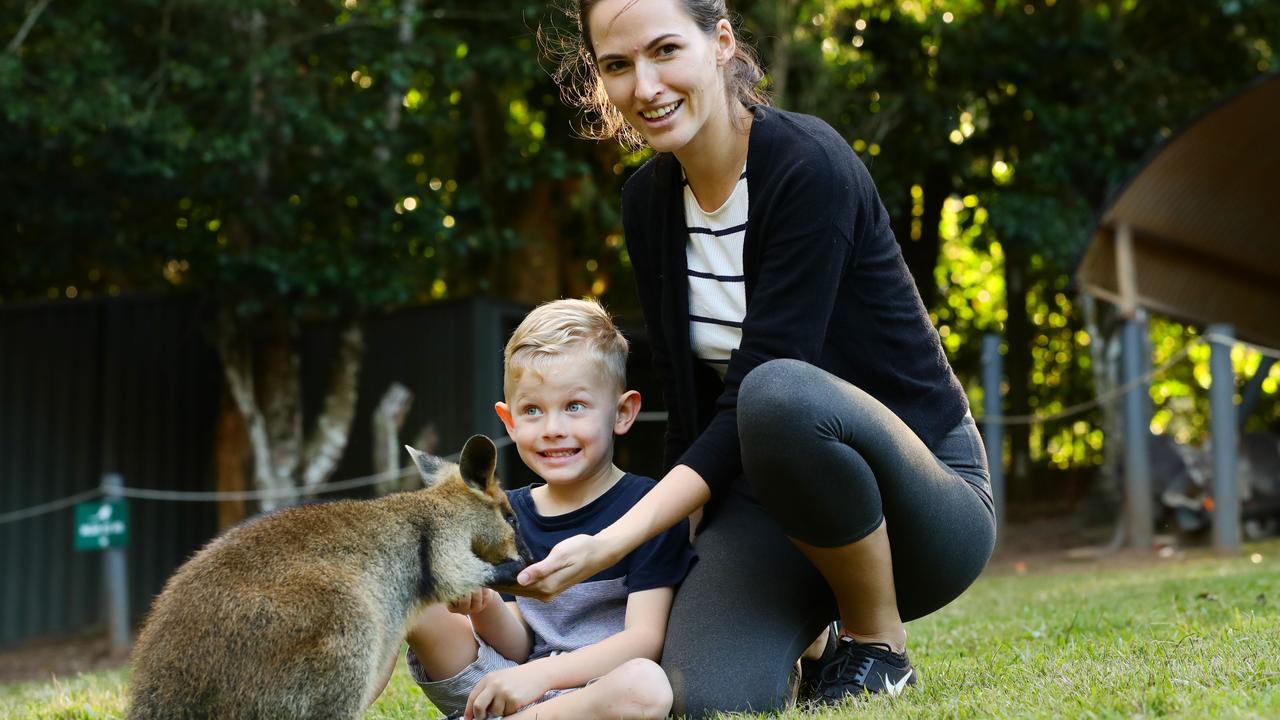 Zach Deane, 5, feeds a wallaby with mum Sarah at Wildlife HQ on the Sunshine Coast. Picture: Lachie Millard