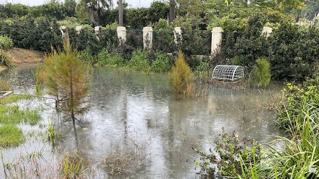 The blocked Ortive St, Yeronga drain and bioretention basin.