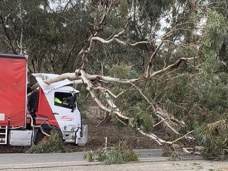 A tree has fallen on a truck on a main road in the Clare Valley.A nearby business - The Little Red Grape Bakery - took to social media to alert commuters to the current traffic hazard.