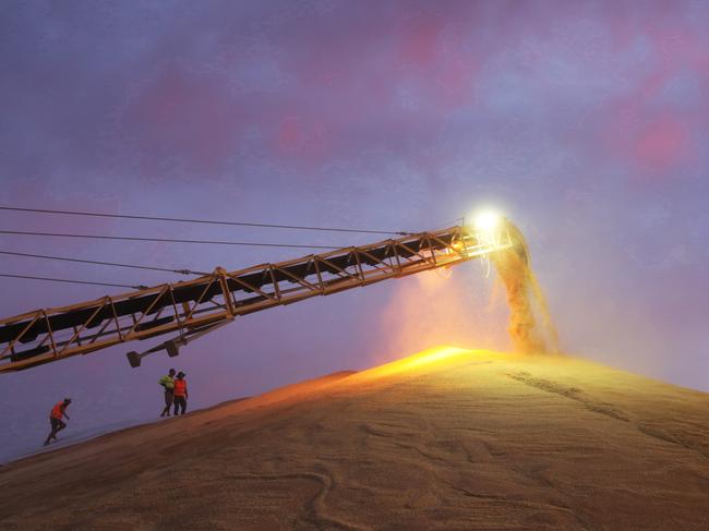 GrainCorp shares surge on profit upgrade