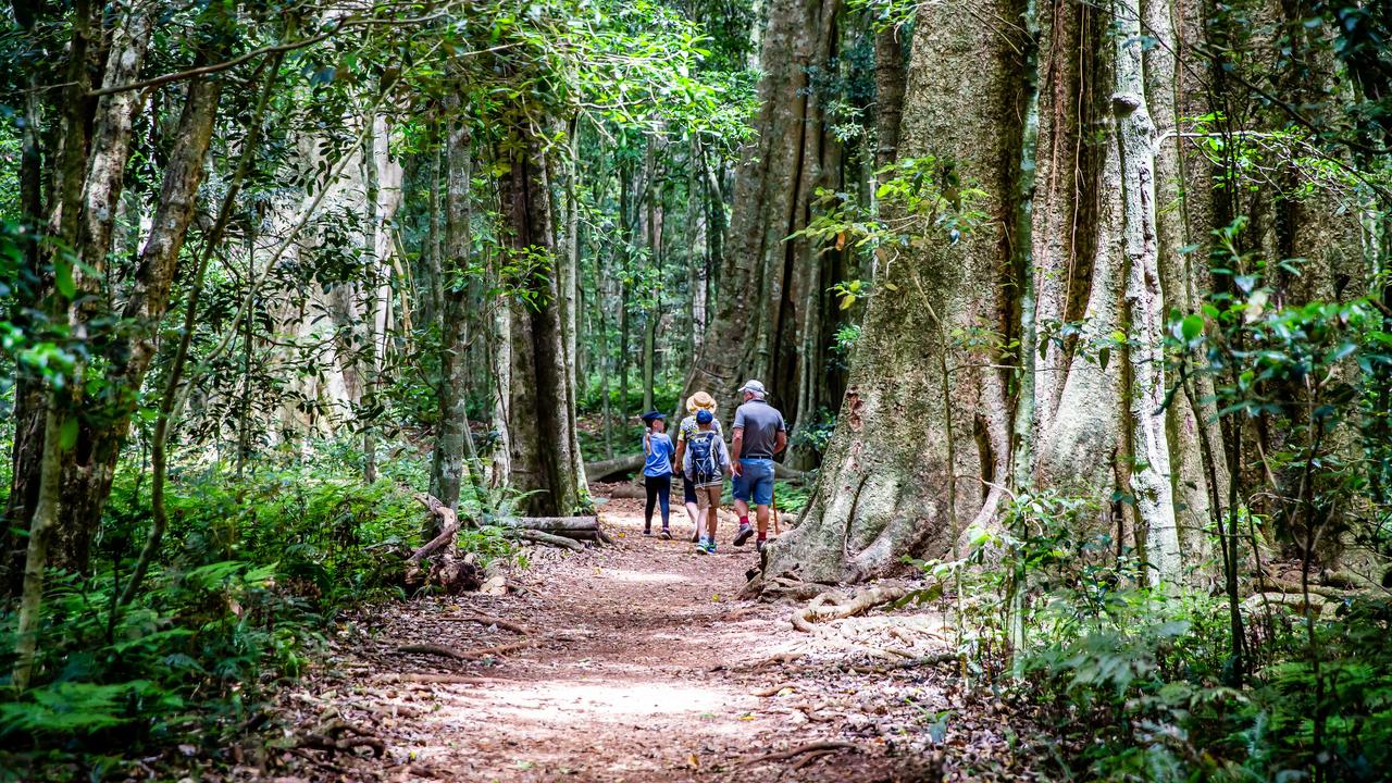 Bunya Mountains Mountain Bike Tracks To Be Constructed By Common Ground 