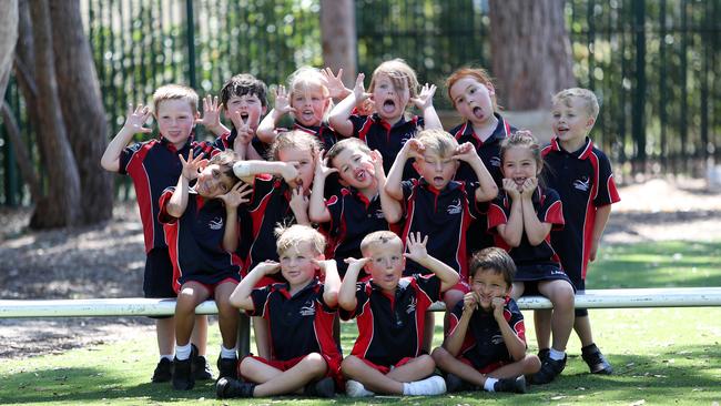 Kindy class KZ pictured at Lake Munmorah Public School. Picture: Sue Graham