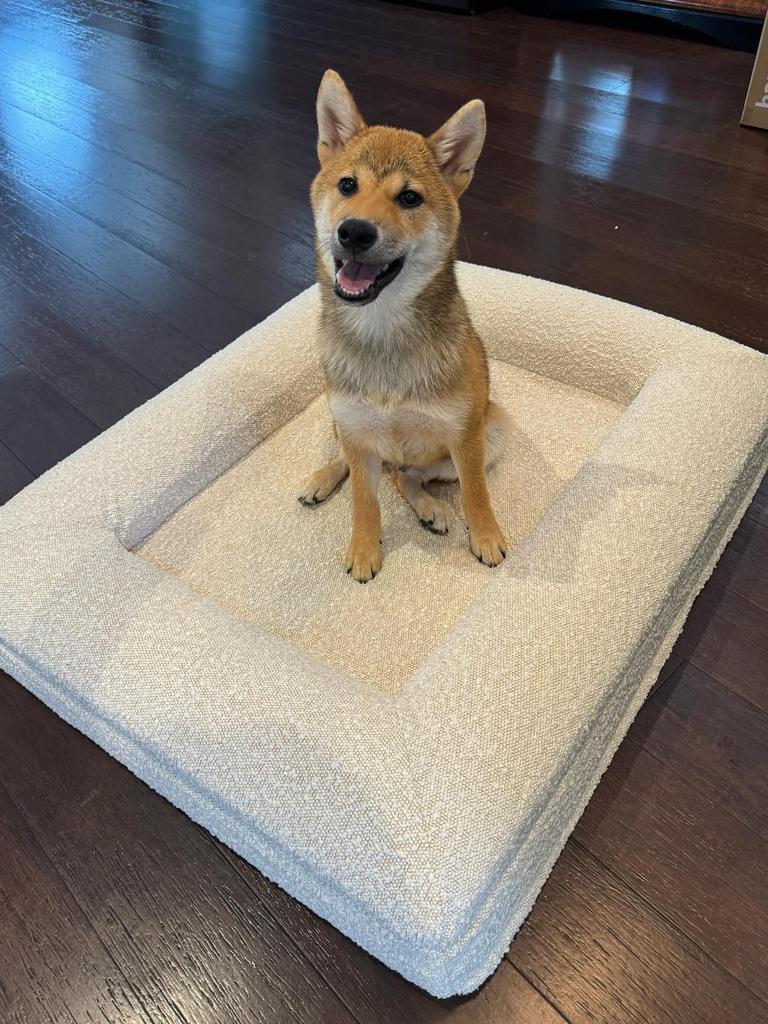 Shoppers reported Aldi had released a 'dupe' of this luxury dog bed. Picture: Instagram/gojo_the_shiba