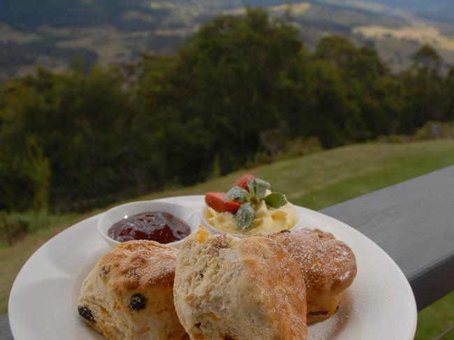 Food with a view!