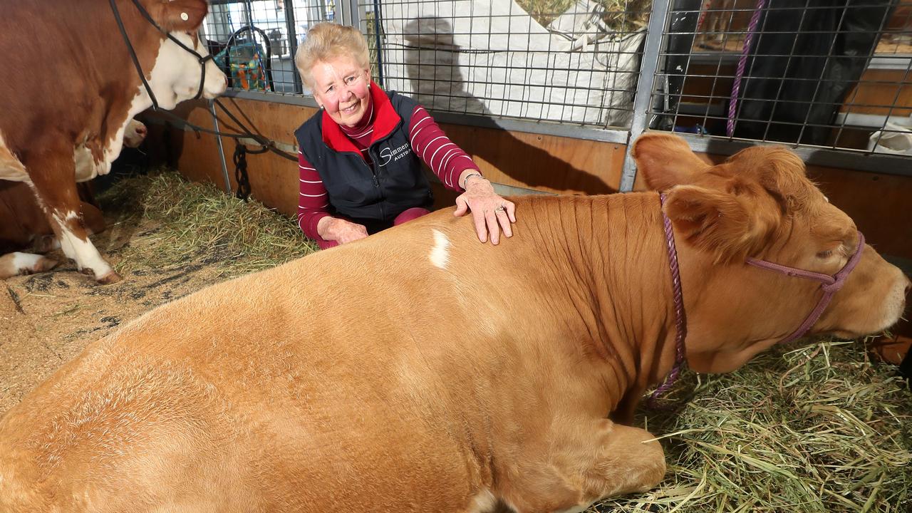 Simmentals bring a lifetime of success