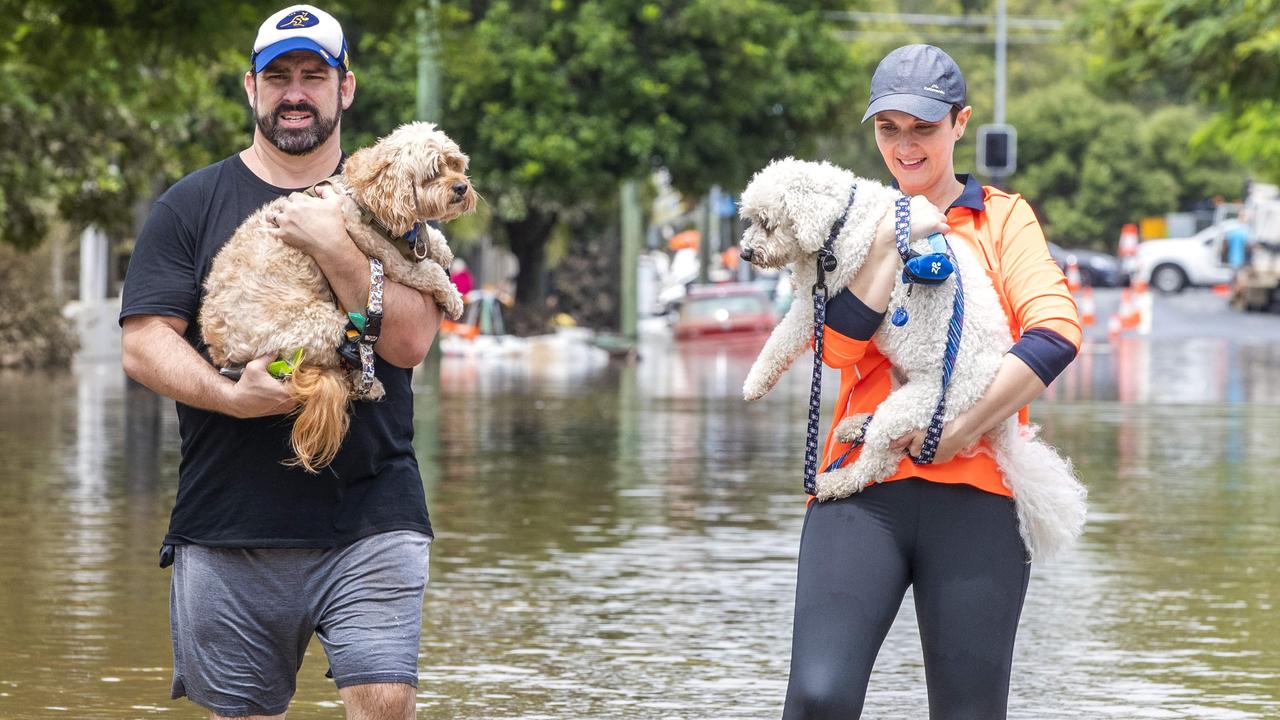 Hamish and Kirsty Beattie and their dogs battle flooding in Auchenflower in March this year. Picture: Richard Walker