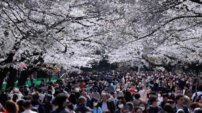 Visitors wearing protective face masks following at Ueno park in Tokyo. Picture: Reuters