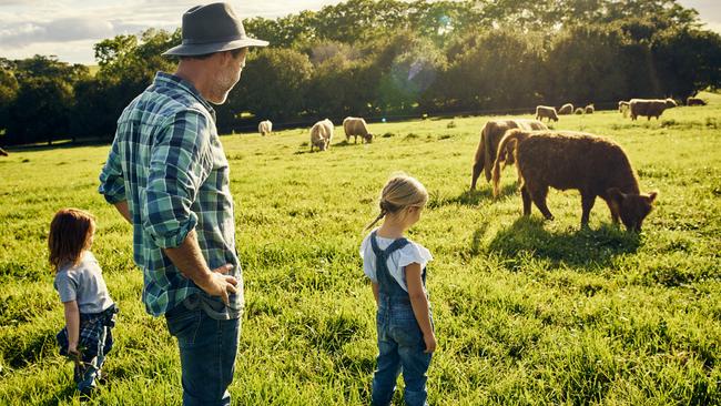 Financiers normally have poor visibility over farms and factories beyond profit and loss statements when completing credit risk assessments.