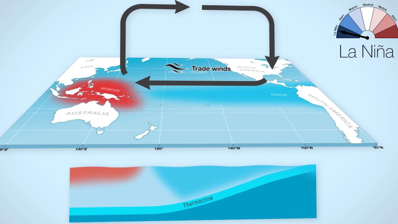 A La Nina occurs when trade winds suck up cooler water in the Pacific and then push warmer waters toward Australia bringing extra moisture with it. Picture: Bureau of Meteorology.