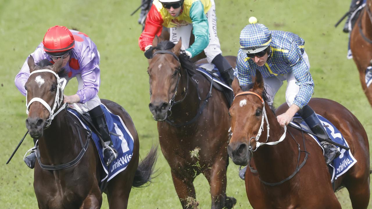 Flag Of Honour will appreciate stepping up to 1600m in the Listed Dulcify Stakes. Picture: Getty Images