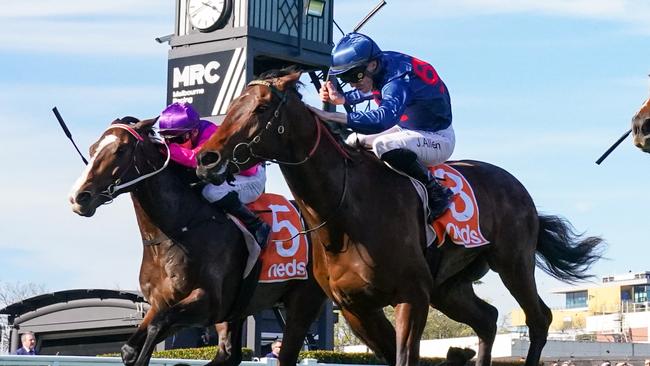 John Allen combining with Steparty to win the Caulfield Guineas Prelude last year. Picture: Scott Barbour/Racing Photos via Getty Images