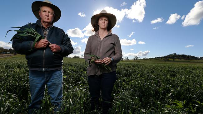 Farmer Tanya Plant (pictured with her father Sid) will also appear on Insight tonight in opposition of the Acland mine. Picture: Jack Tran