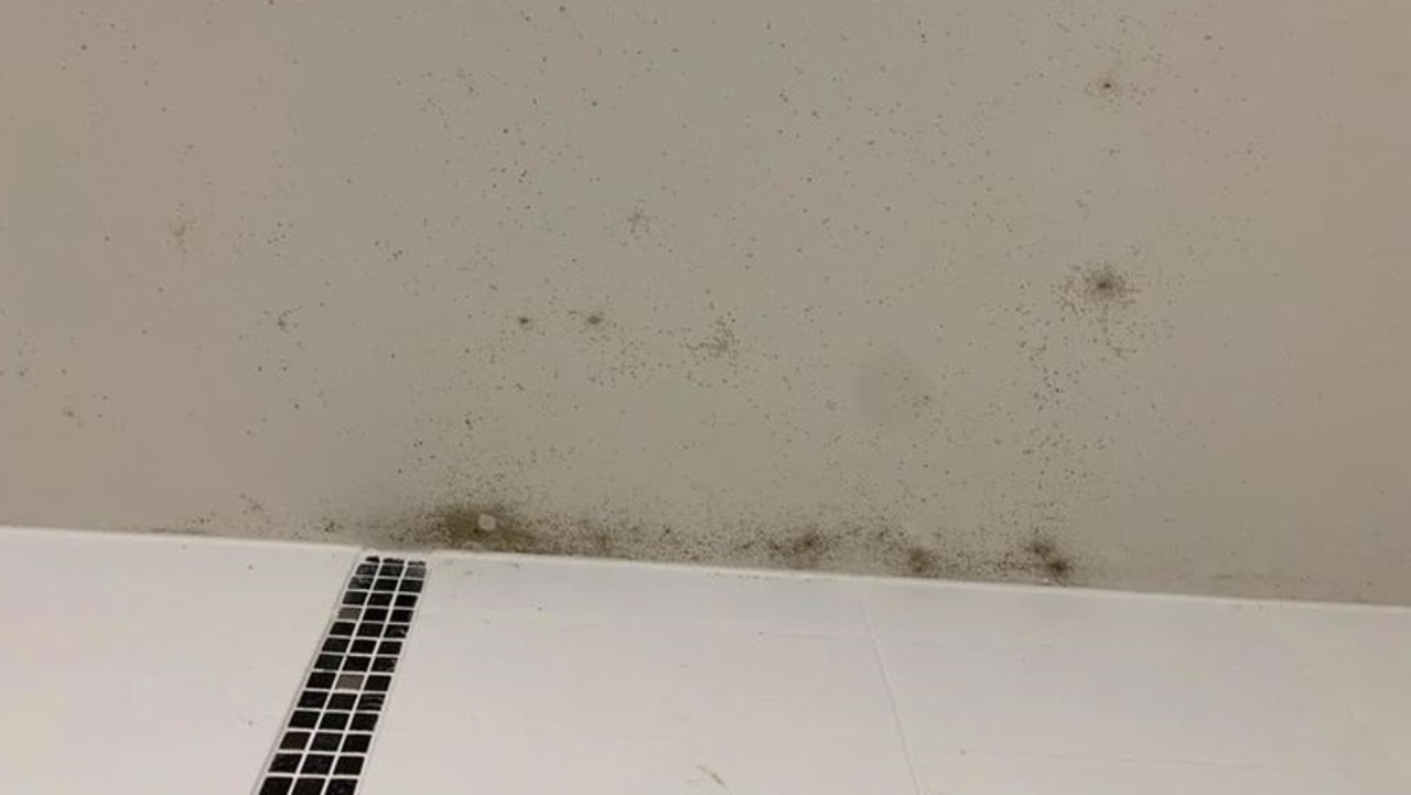 Mould exposure can lead to flu-like symptoms, and can cause asthma attacks and even severe mould infections in some cases. Picture: 9 News
