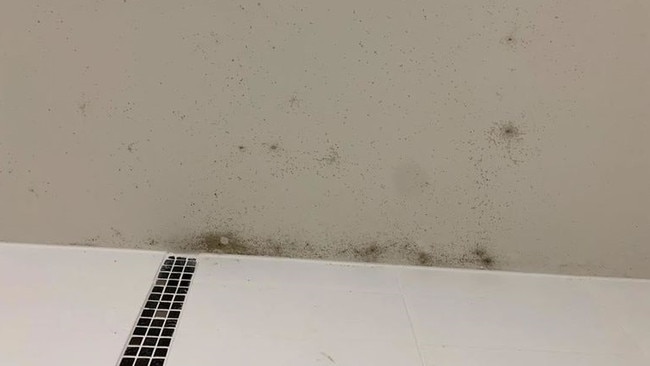 Mould exposure can lead to flu-like symptoms, and can cause asthma attacks and even severe mould infections in some cases. Picture: 9 News