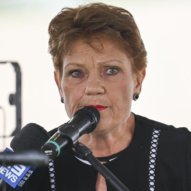 Senator Pauline Hanson. Picture: NCA NewsWire / Martin Ollman