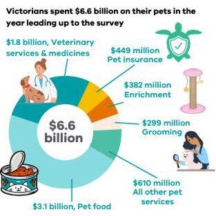 The report revealed Victorians spent $6.6bn on their pets over the 2022 - 2023 period.