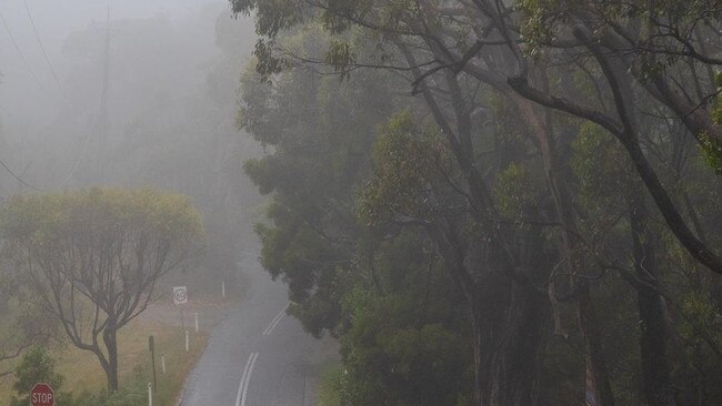 Adelaide Hills, Mount Lofty and Cleland Saturday morning Picture: Lachy Riley