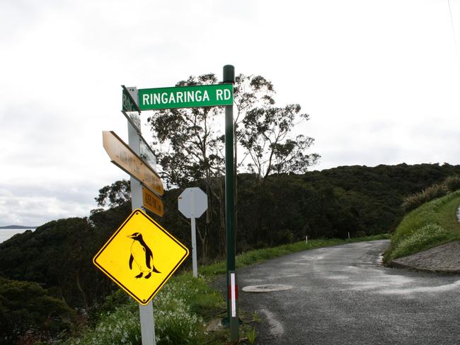 Signs warn motorists to watch out for kiwis. Picture: Chris Pritchard