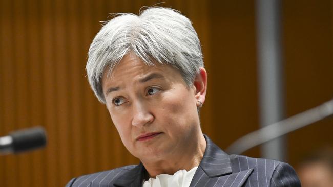 Foreign Minister Penny Wong is accusing Greens senator Mehreen Faruqi of peddling falsehoods. Picture: NewsWire / Martin Ollman