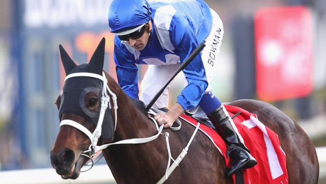 Winx has recorded 20 straight wins. Picture: Getty Images