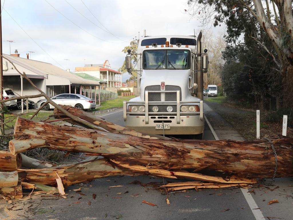 And now for the Kenworth truck to drag the tree, which fell onto the main road in Charleston, out of the way. Picture: Simon Cross