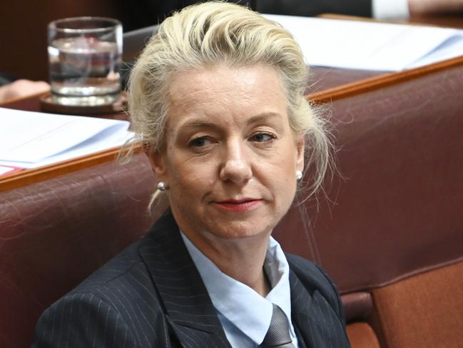 Liberal frontbencher Bridget McKenzie has launched a surprise investigation into her own flight upgrades amid claims she has received freebies that were not declared on the parliamentary register.