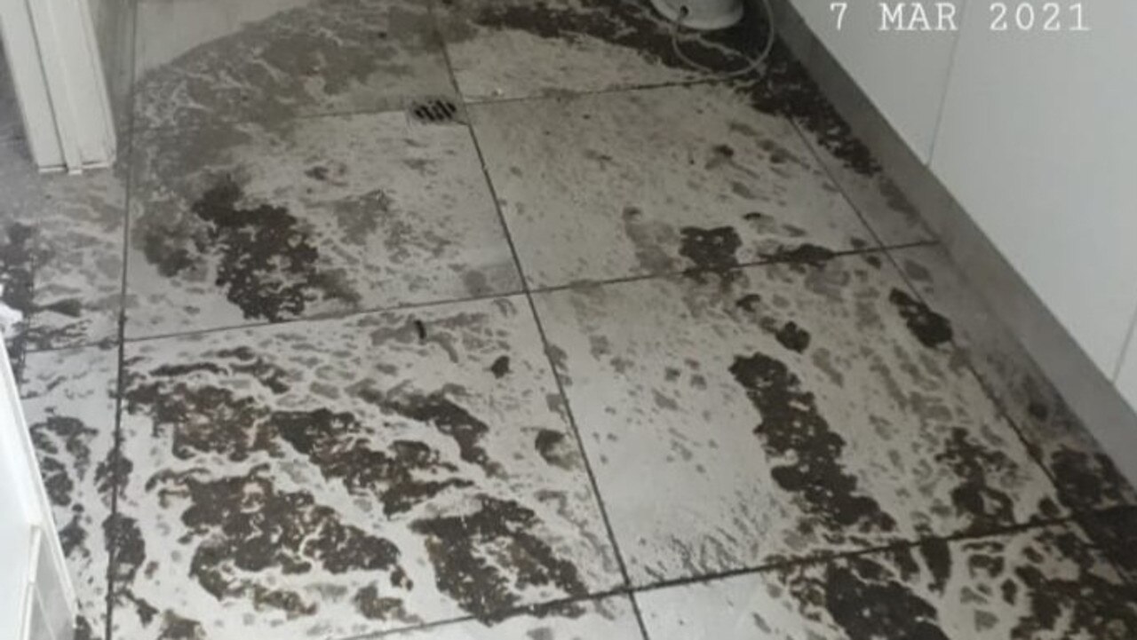 The newly bought Gympie house sustained immense sewer damage, posing significant health risks to Ms Van Der Maat and her young son. Photo: GoFundMe