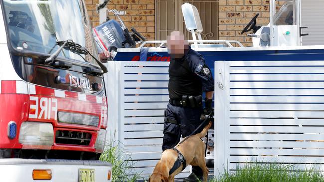 AFP detection dog leaving a home on South Liverpool Rd at Hinchinbrook, in southwest Sydney. Picture: Jonathan Ng