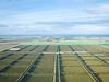 Premier WA citrus orchards hit the market
